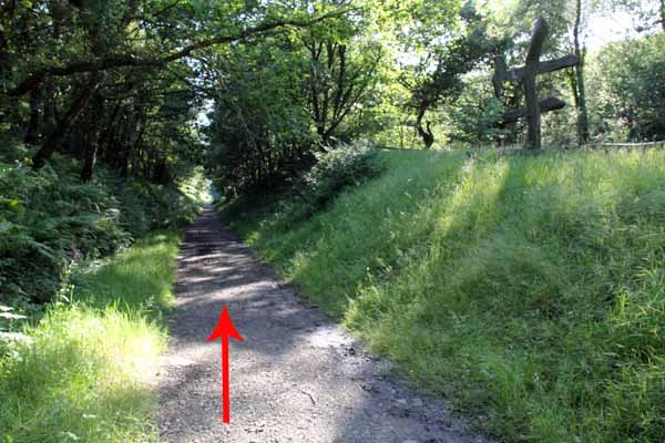 Photograph of Walking Route - Image 18