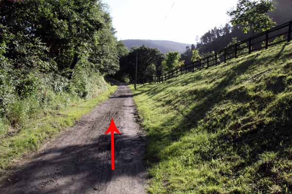 Photograph of Walking Route - Image 19