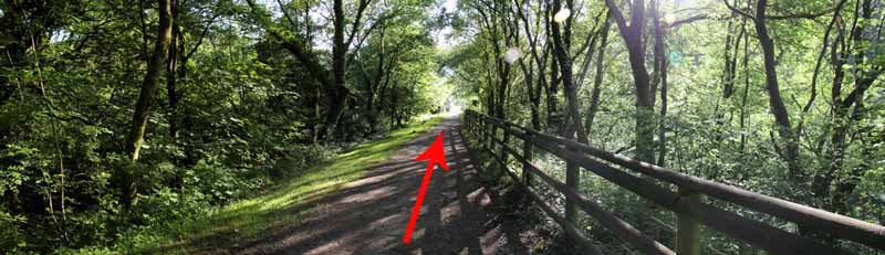 Photograph of Walking Route - Image 21