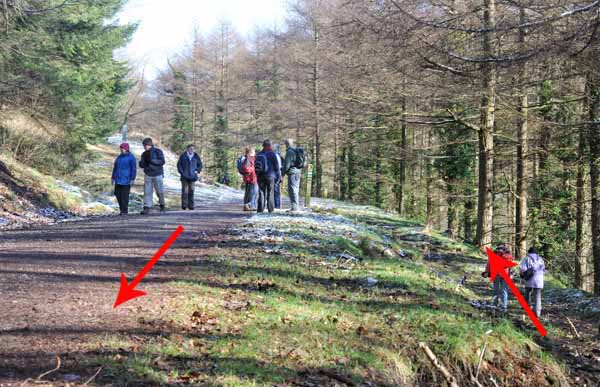 Photograph of Walking Route - Image 28