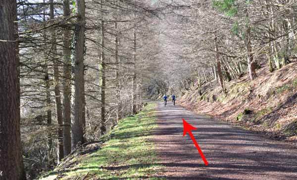 Photograph of Walking Route - Image 29