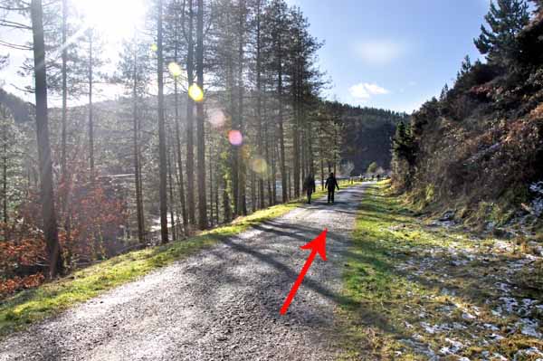 Photograph of Walking Route - Image 30