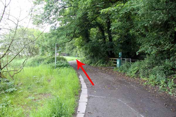 Photograph of Walking Route - Image 4