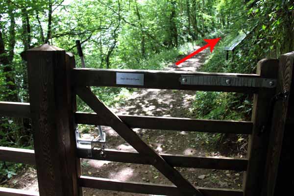 Photograph of Walking Route - Image 9