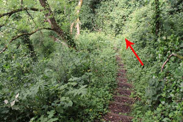 Photograph of Walking Route - Image 13