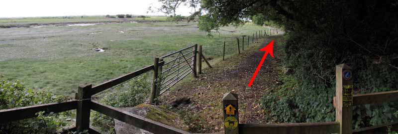 Photograph of Walking Route - Image 14