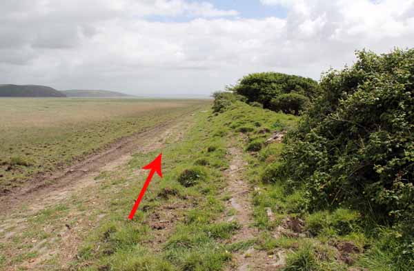 Photograph of Walking Route - Image 18