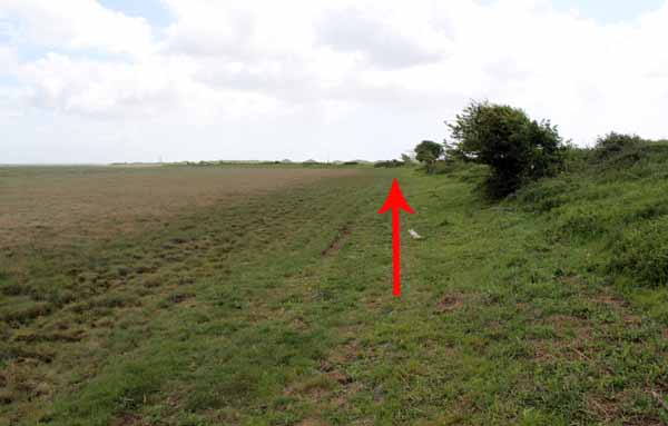 Photograph of Walking Route - Image 19