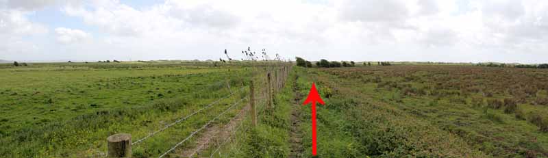 Photograph of Walking Route - Image 22