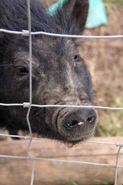 Photograph of Walking Route - Image 28