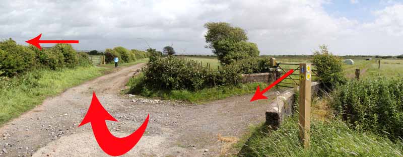 Photograph of Walking Route - Image 32