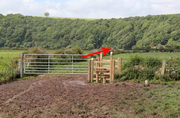 Photograph of Walking Route - Image 34