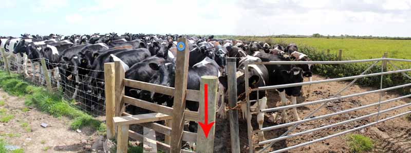 Photograph of Walking Route - Image 36