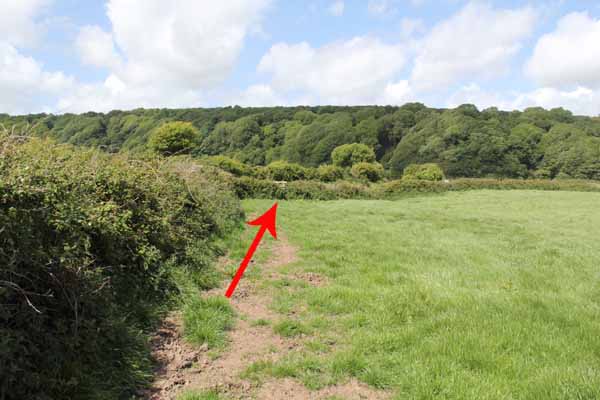 Photograph of Walking Route - Image 37