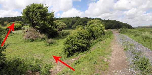 Photograph of Walking Route - Image 39