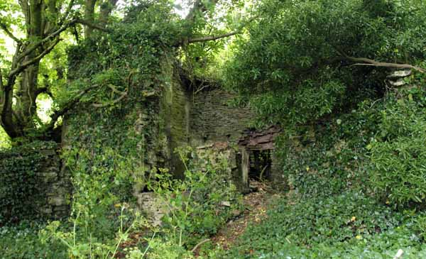 Photograph of Walking Route - Image 46