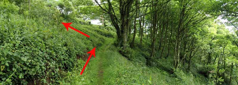 Photograph of Walking Route - Image 47