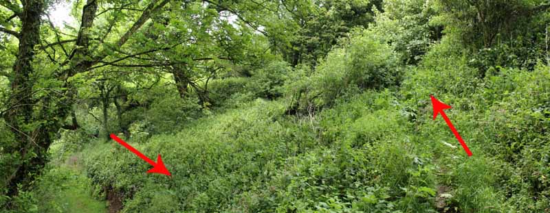 Photograph of Walking Route - Image 48