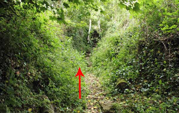 Photograph of Walking Route - Image 49