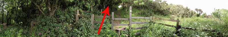 Photograph of Walking Route - Image 50