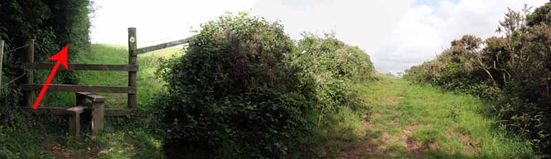 Photograph of Walking Route - Image 51