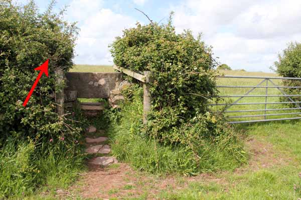 Photograph of Walking Route - Image 54