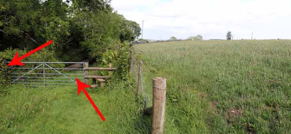 Photograph of Walking Route - Image 56