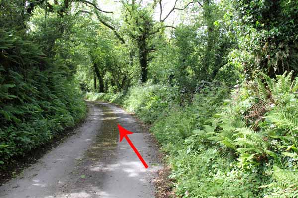 Photograph of Walking Route - Image 57