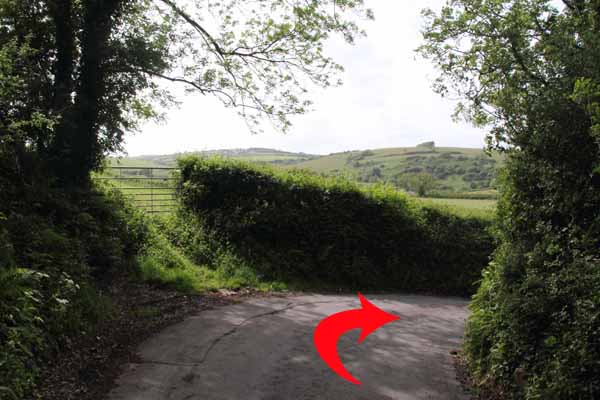 Photograph of Walking Route - Image 58