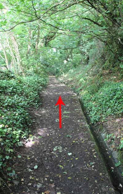 Photograph of Walking Route - Image 66