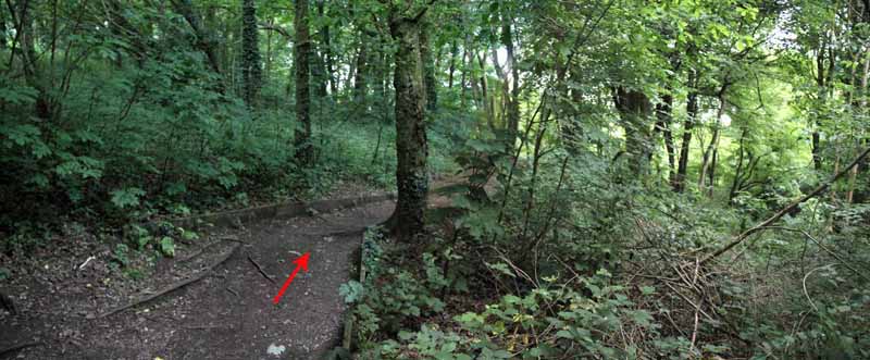 Photograph of Walking Route - Image 6