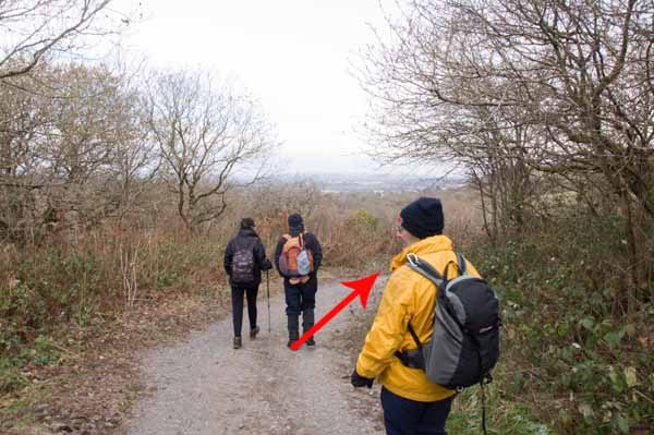 Photograph of Walking Route - Image 6