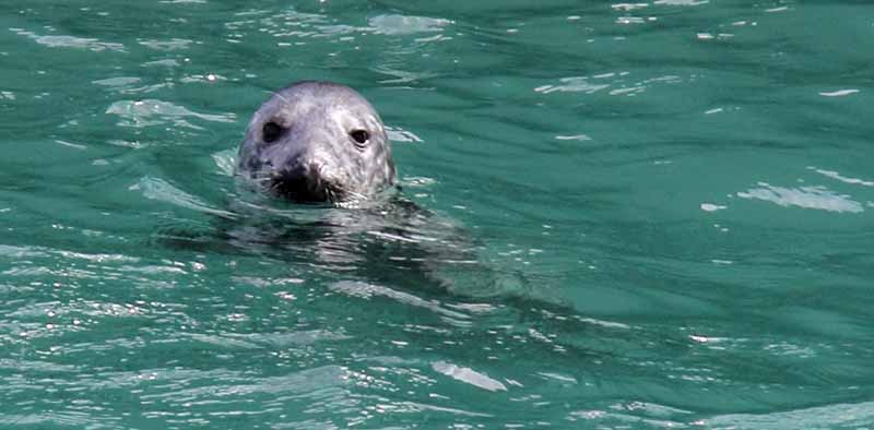 Photograph of Walking Route - Image 2