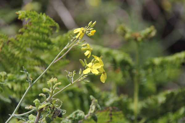 Photograph of Walking Route - Image 10