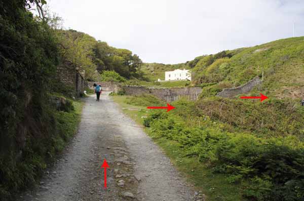 Photograph of Walking Route - Image 11