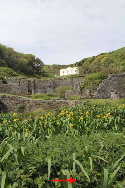 Photograph of Walking Route - Image 13