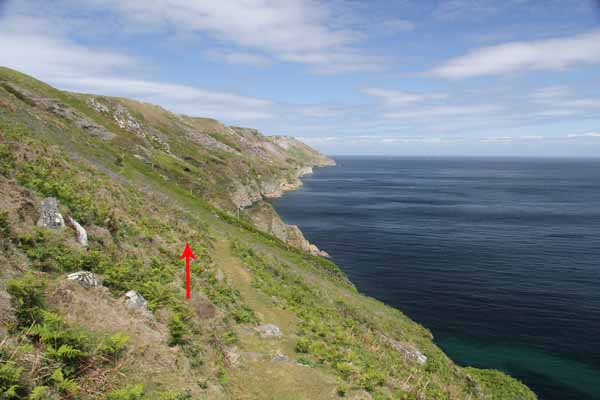 Photograph of Walking Route - Image 15