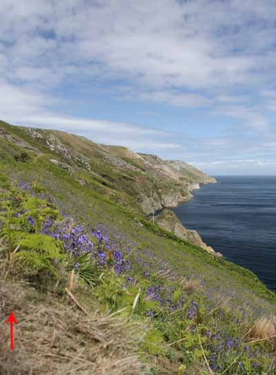 Photograph of Walking Route - Image 16
