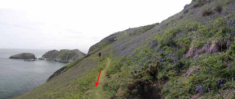 Photograph of Walking Route - Image 18