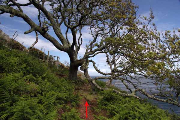 Photograph of Walking Route - Image 19