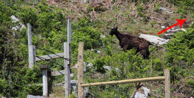 Photograph of Walking Route - Image 21