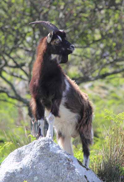 Photograph of Walking Route - Image 22