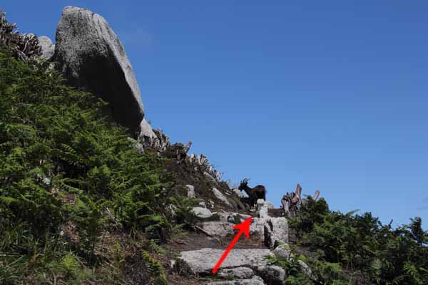 Photograph of Walking Route - Image 23