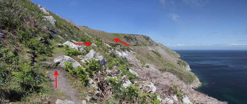 Photograph of Walking Route - Image 24