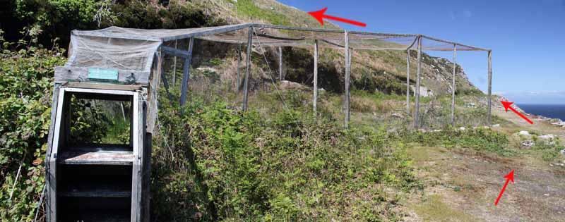 Photograph of Walking Route - Image 26