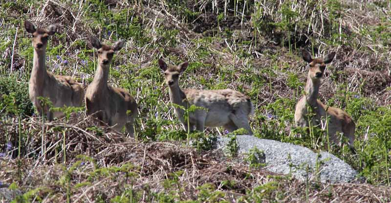 Photograph of Walking Route - Image 27