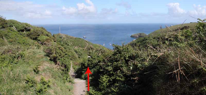 Photograph of Walking Route - Image 44