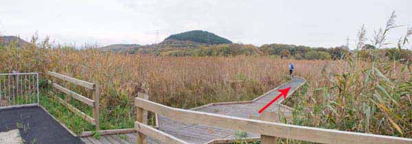 Photograph of Walking Route - Image 4