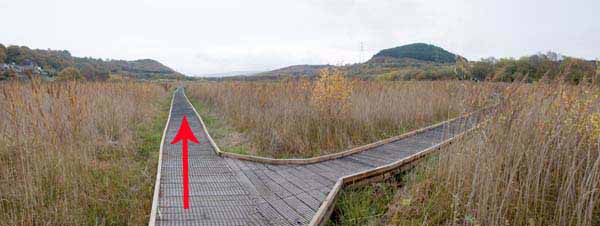 Photograph of Walking Route - Image 5