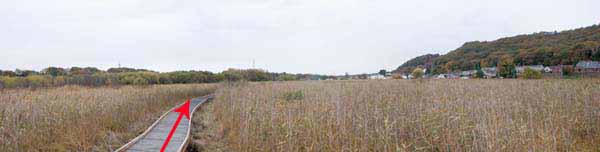 Photograph of Walking Route - Image 6